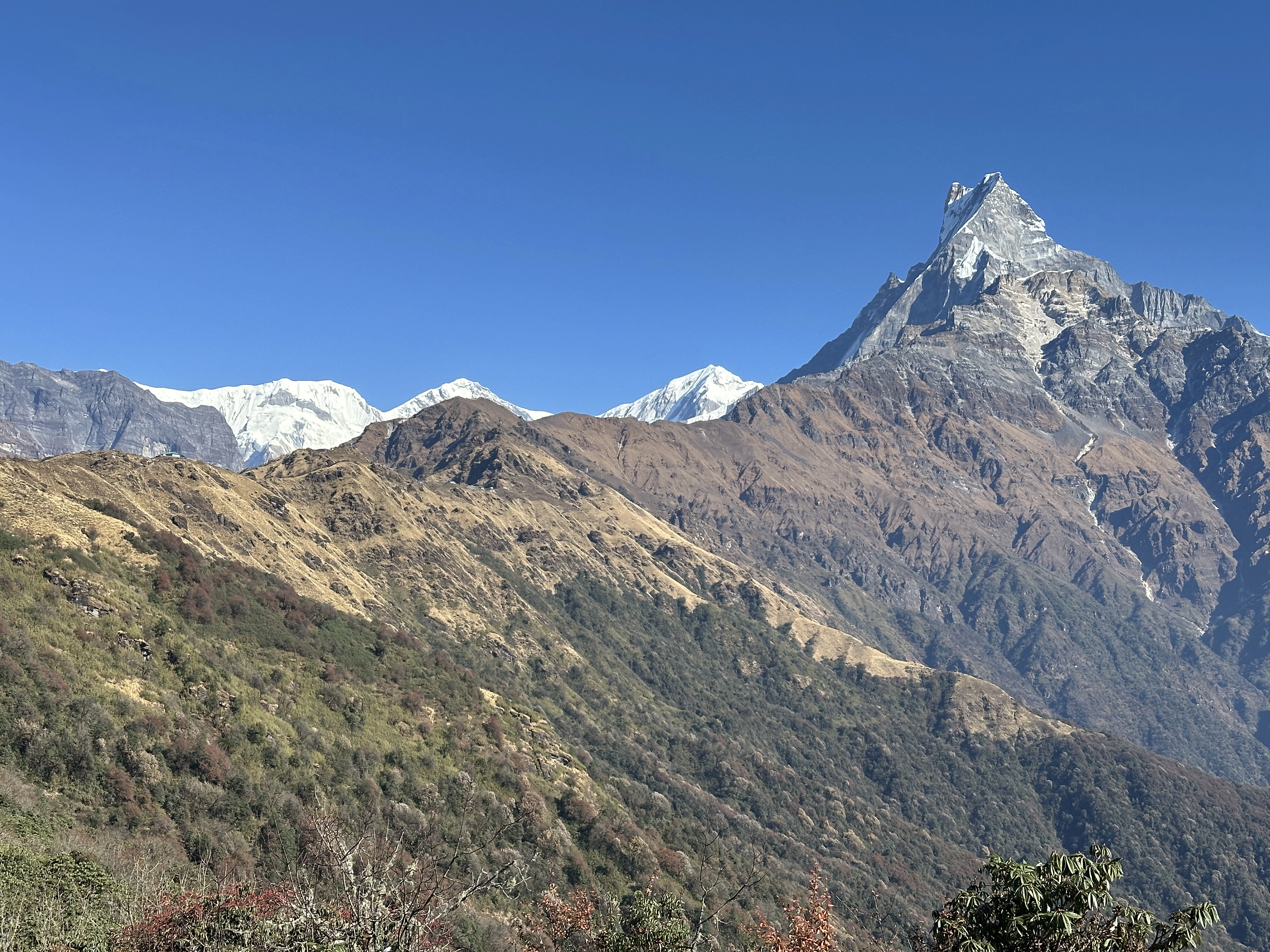 Mardi Himal Trek
